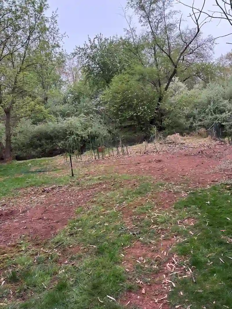 A fully cleared backyard in North Jersey after JunkDoctors removed a large wooden playground structure and yard debris.