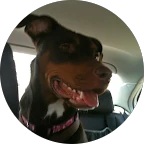 Google review profile photo for Karina Dickinson, basement cleanout customer from Wharton, NJ