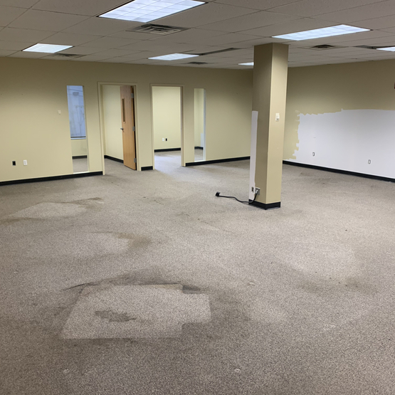 Carpet Removal Irvington NJ