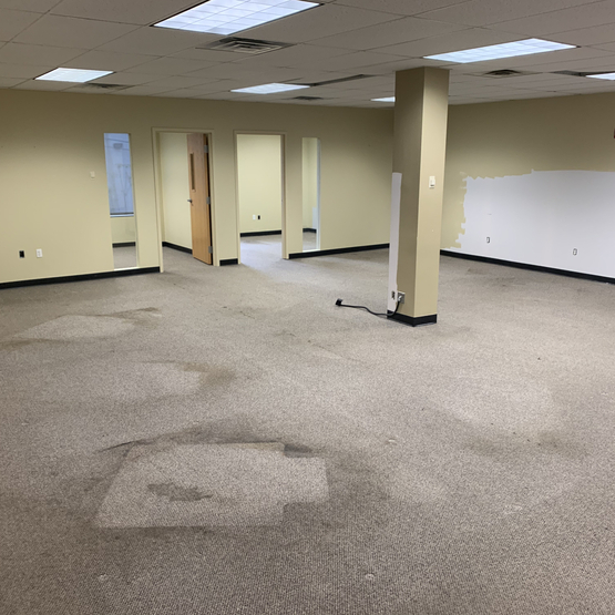 Carpet Removal Montclair NJ