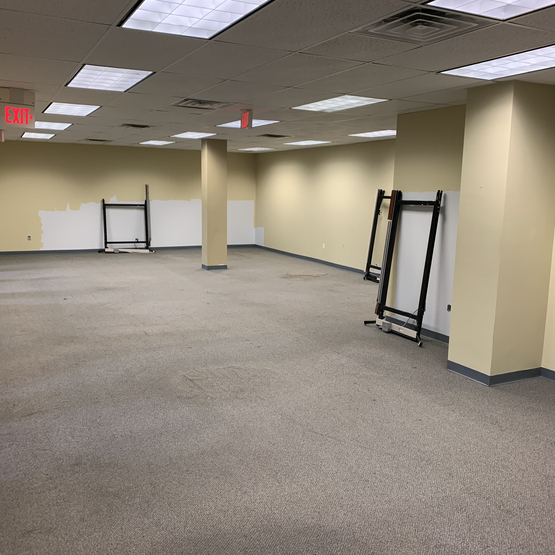 Carpet Removal Newton NJ