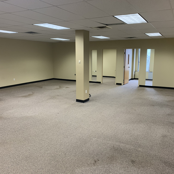 Carpet Removal Plaza NJ